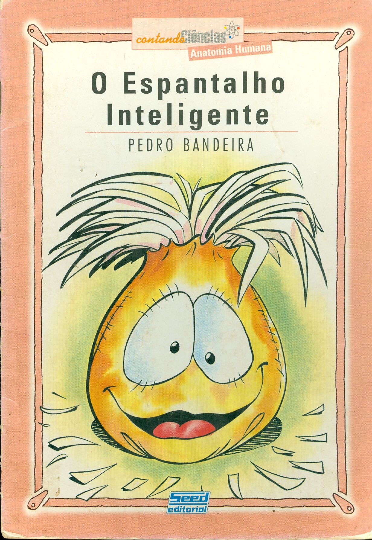 O ESPANTALHO INTELIGENTE