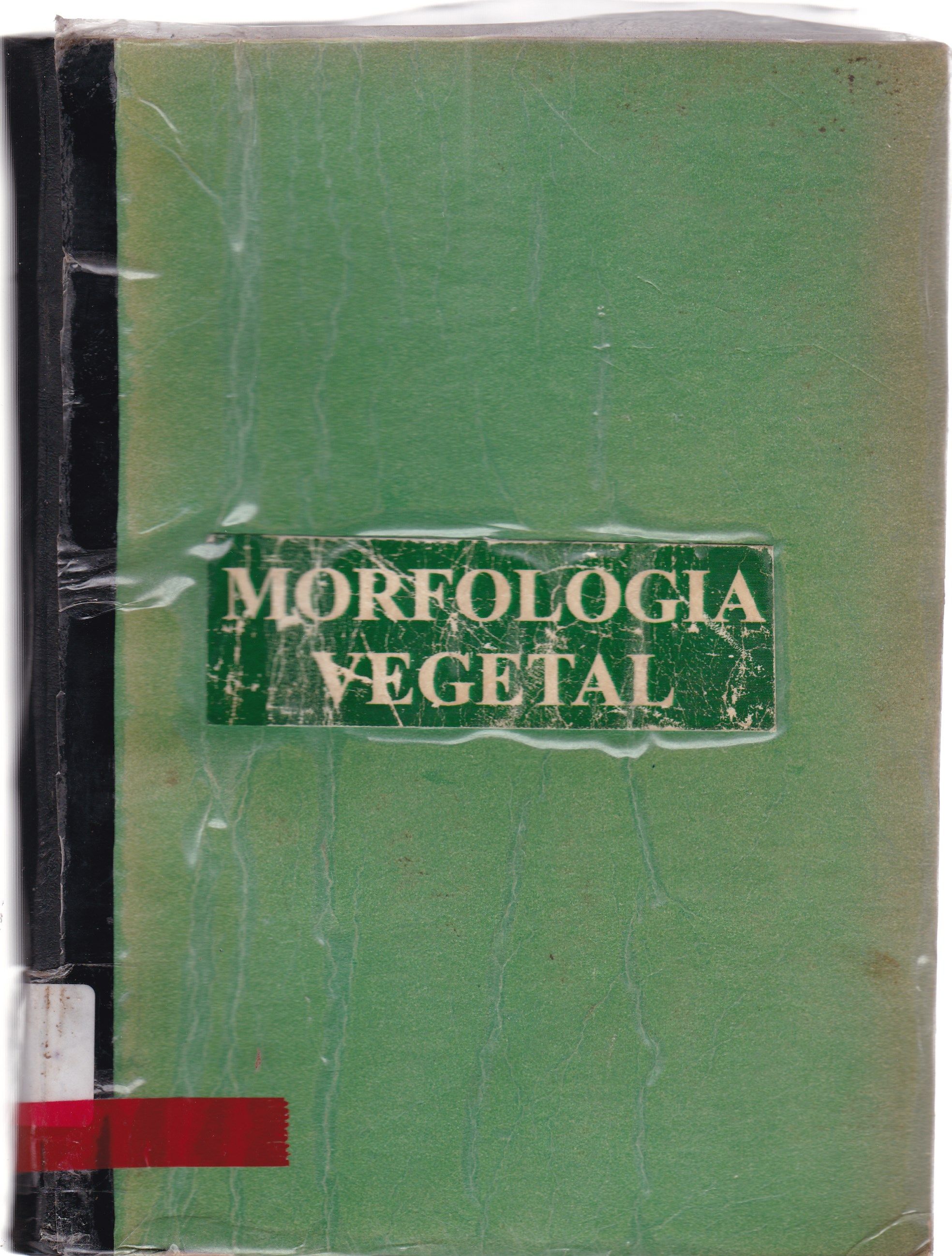 MORFOLOGIA VEGETAL