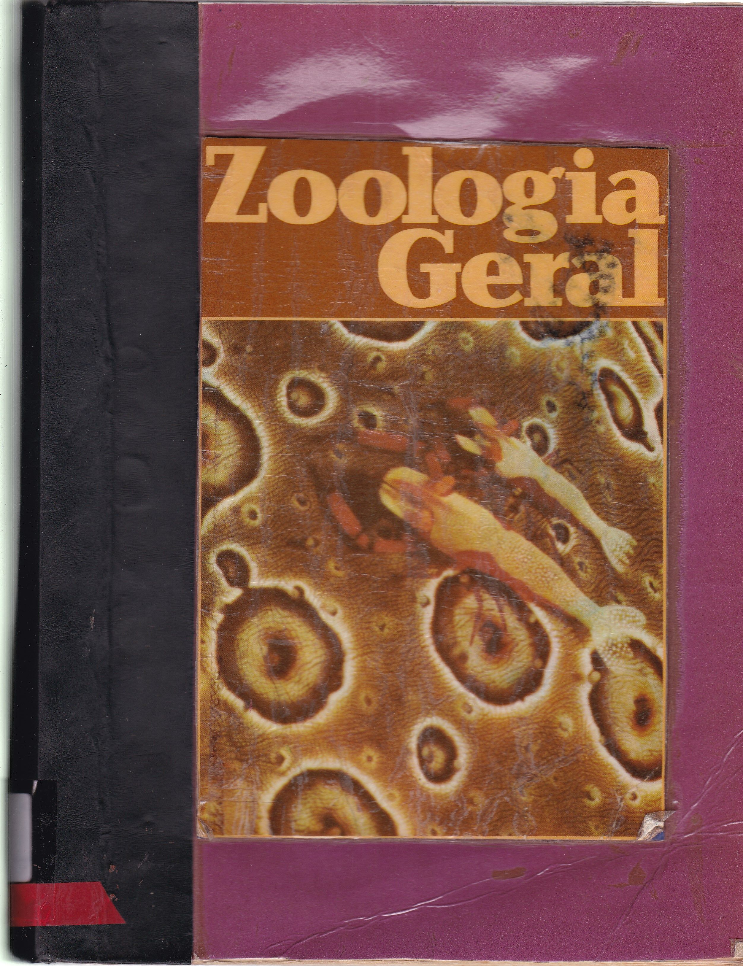 ZOOLOGIA GERAL 