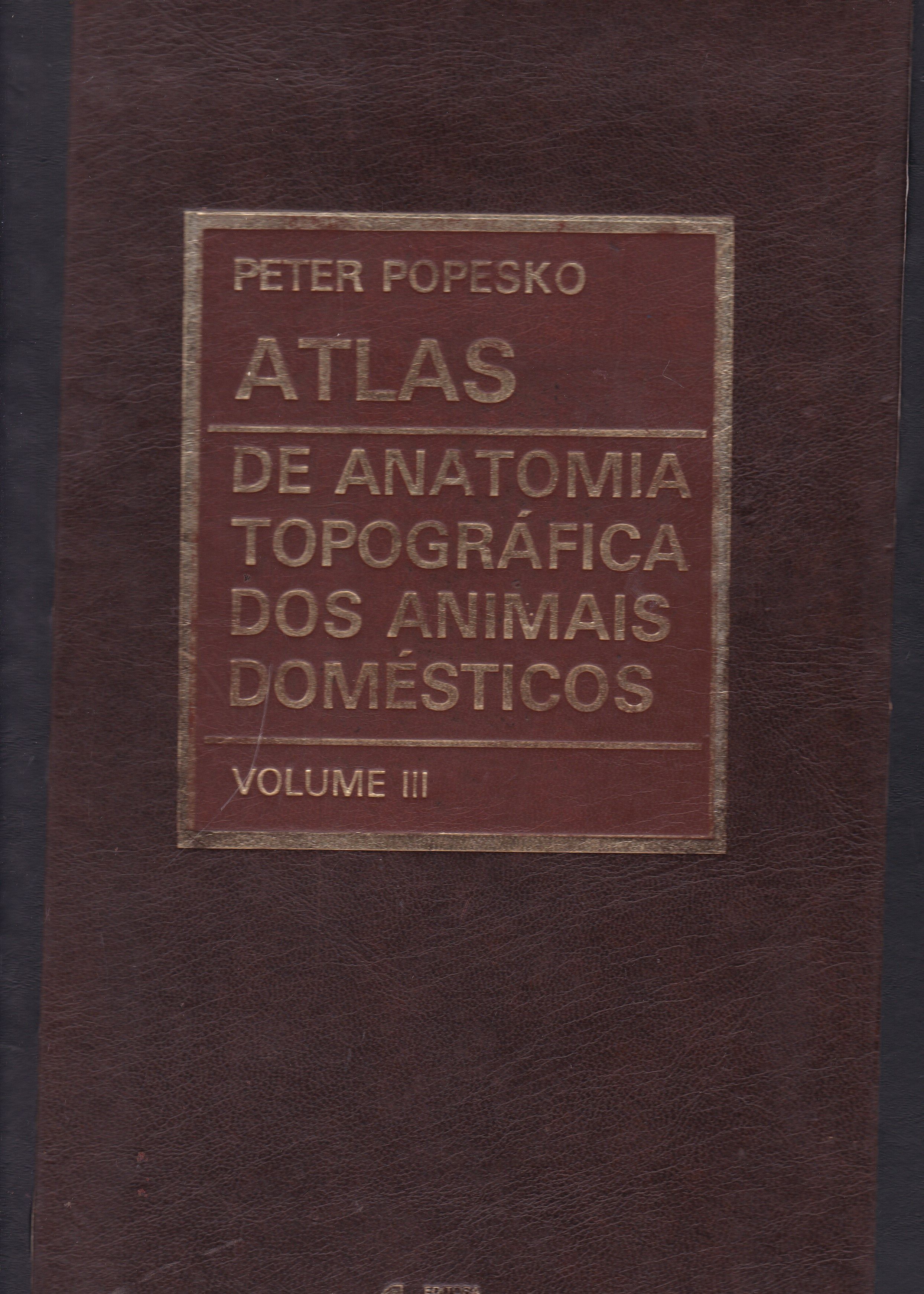 ATLAS DE ANATOMIA TOPOGRÁFICA DOS ANIMAIS DOMÉSTICOS - V. 3
