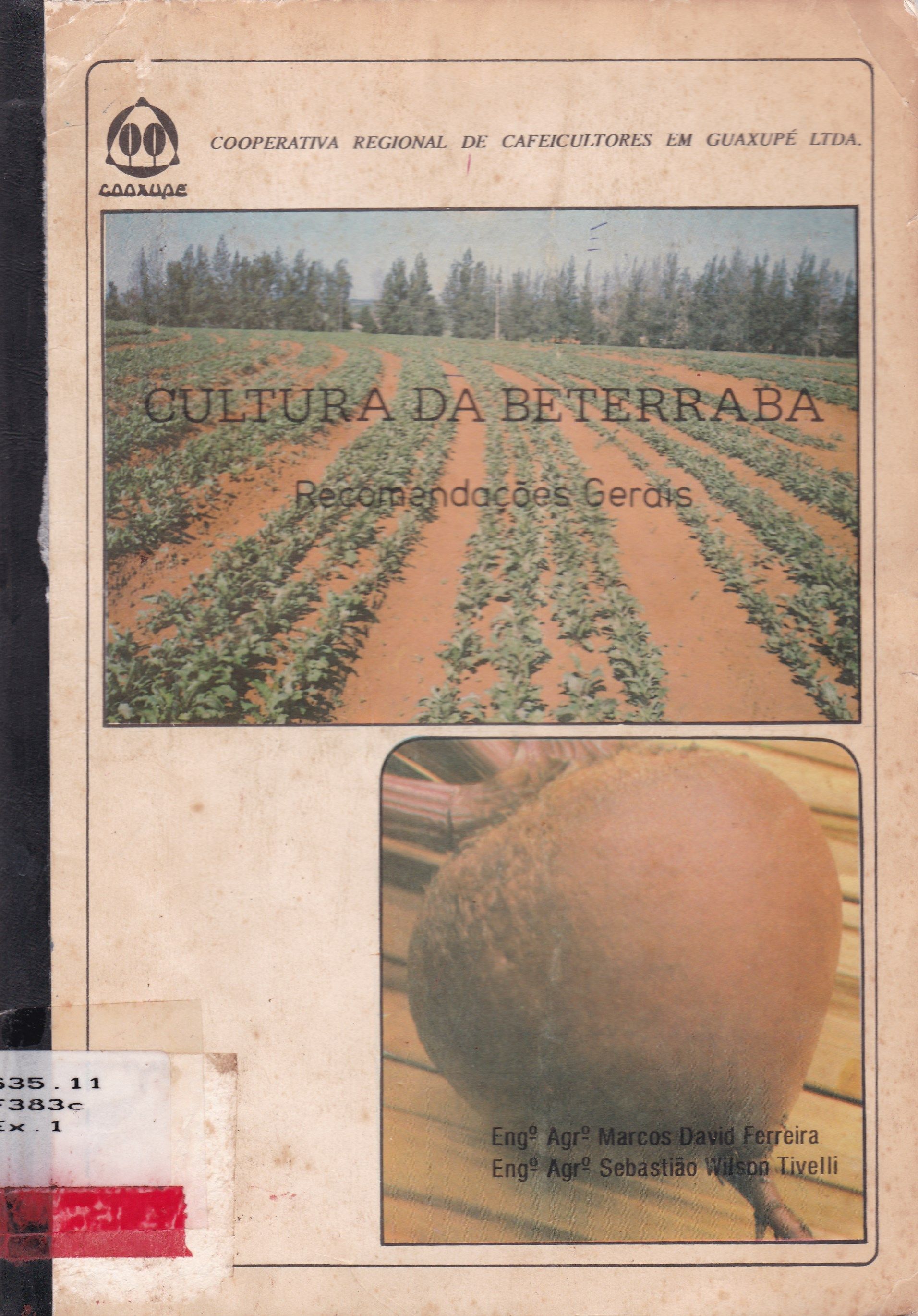 CULTURA DA BETERRABA: RECOMENDAÇÕES GERAIS 