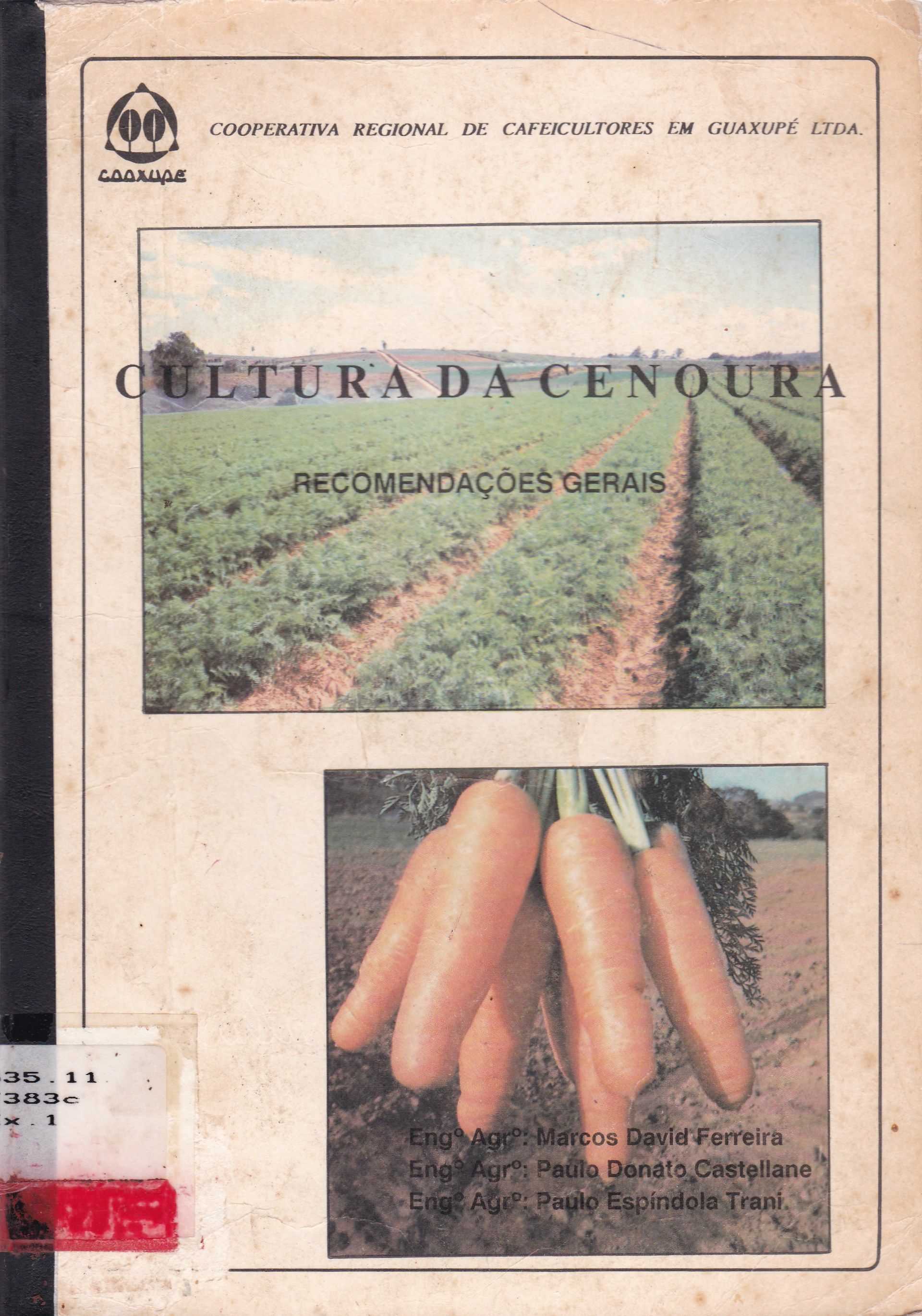 CULTURA DA CENOURA: RECOMENDAÇÕES GERAIS