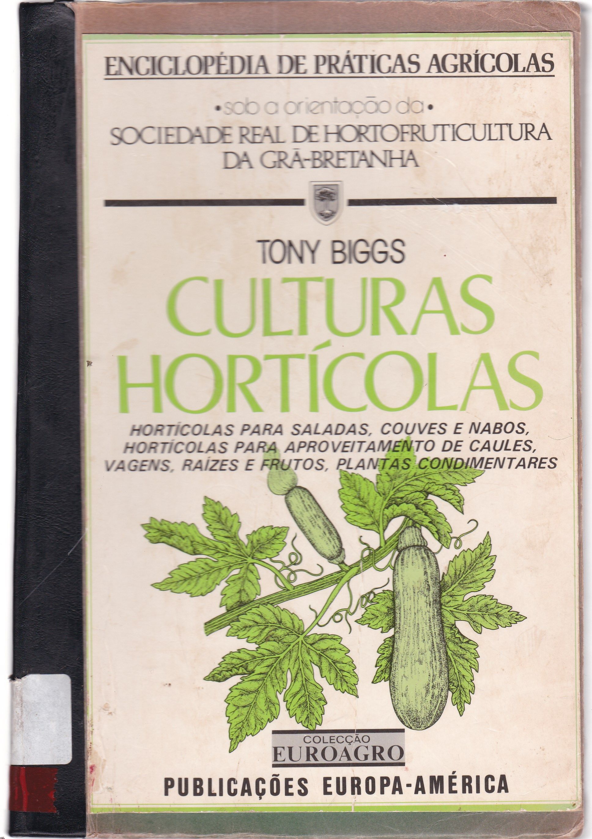 CULTURAS HORTÍCOLAS