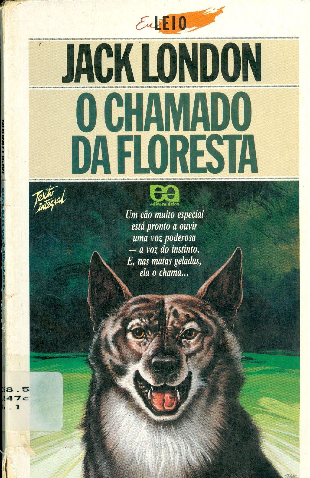 O CHAMADO DA FLORESTA