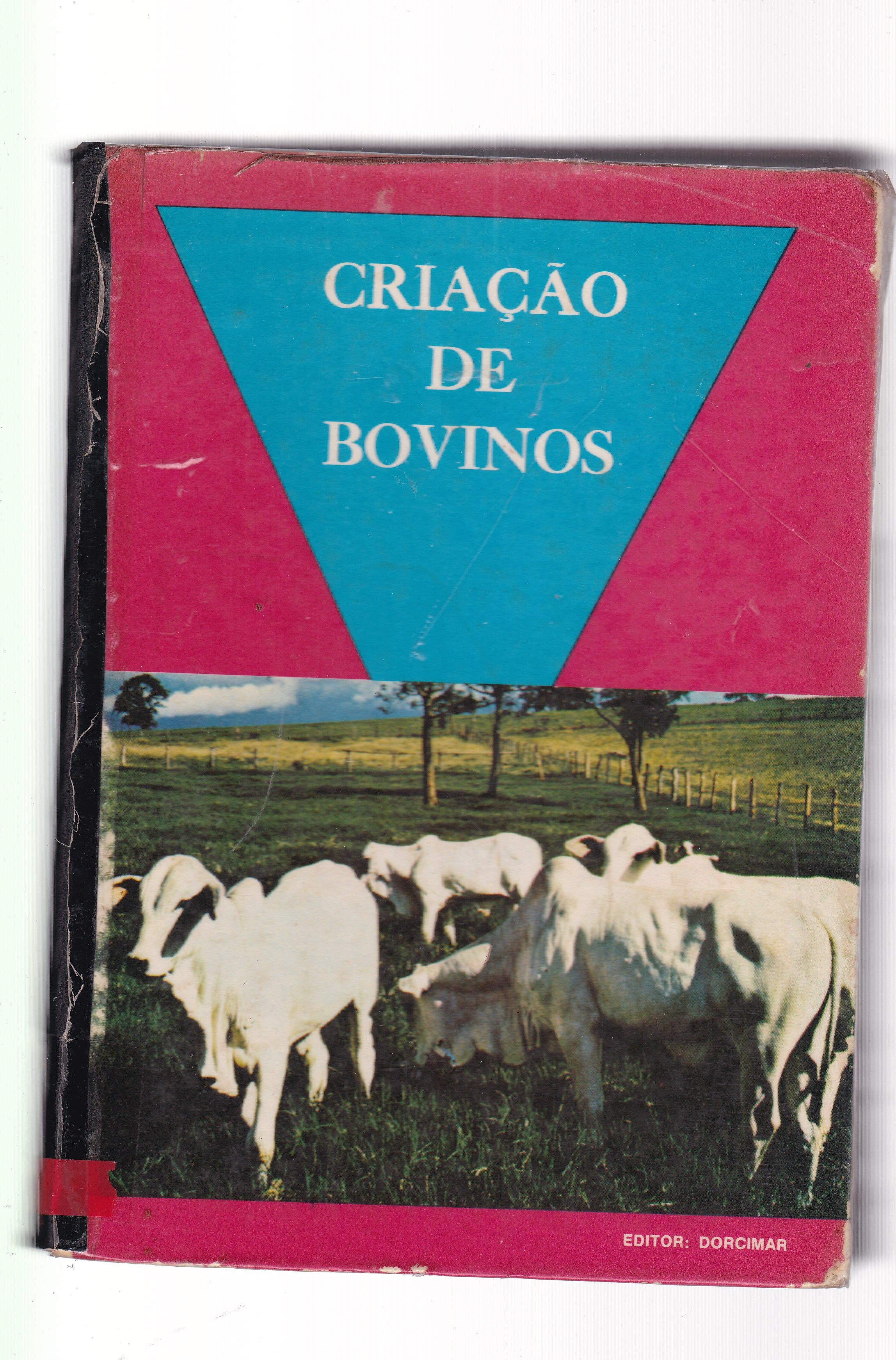 CRIAÇÃO DE BOVINOS 
