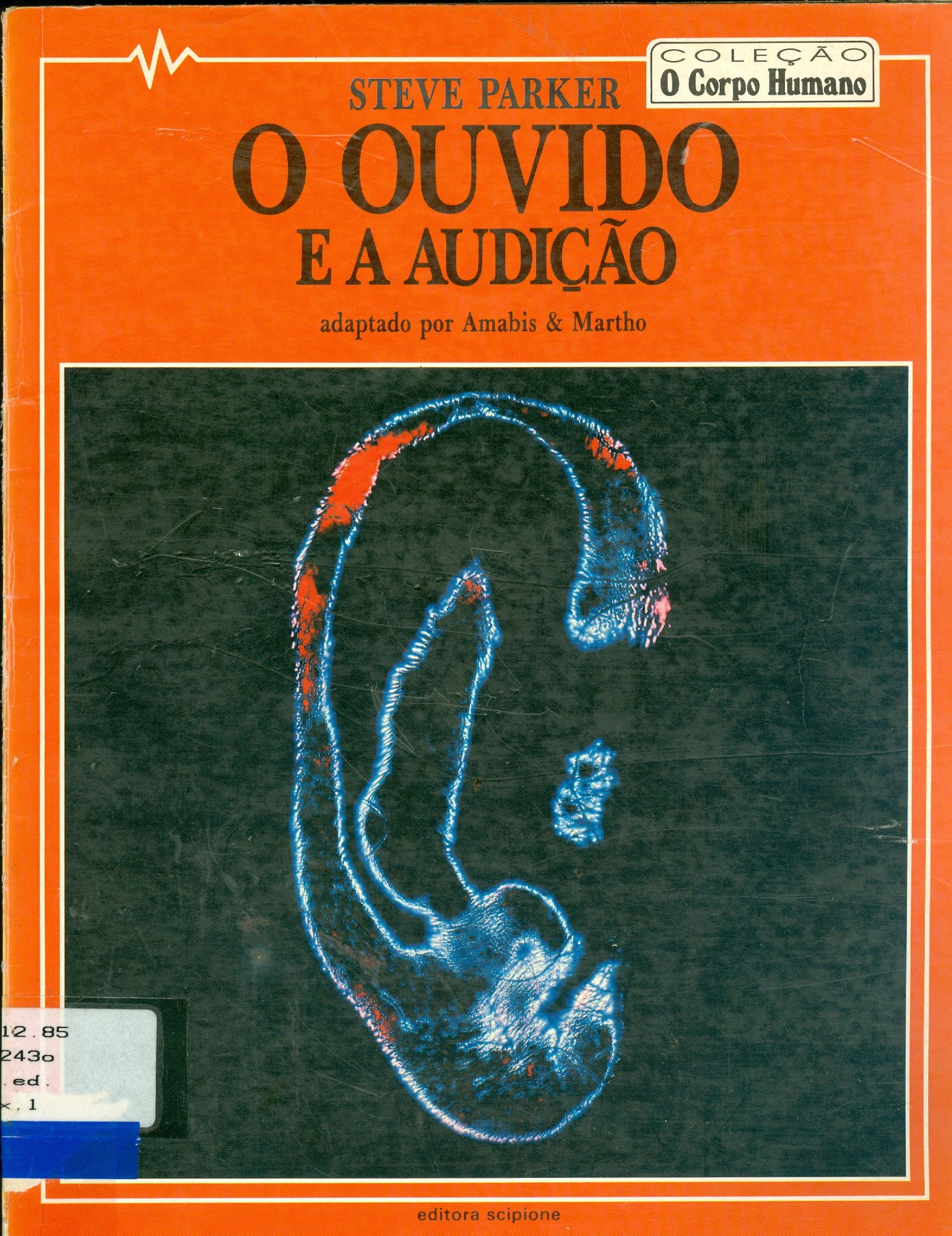 O OUVIDO E A AUDIÇÃO 