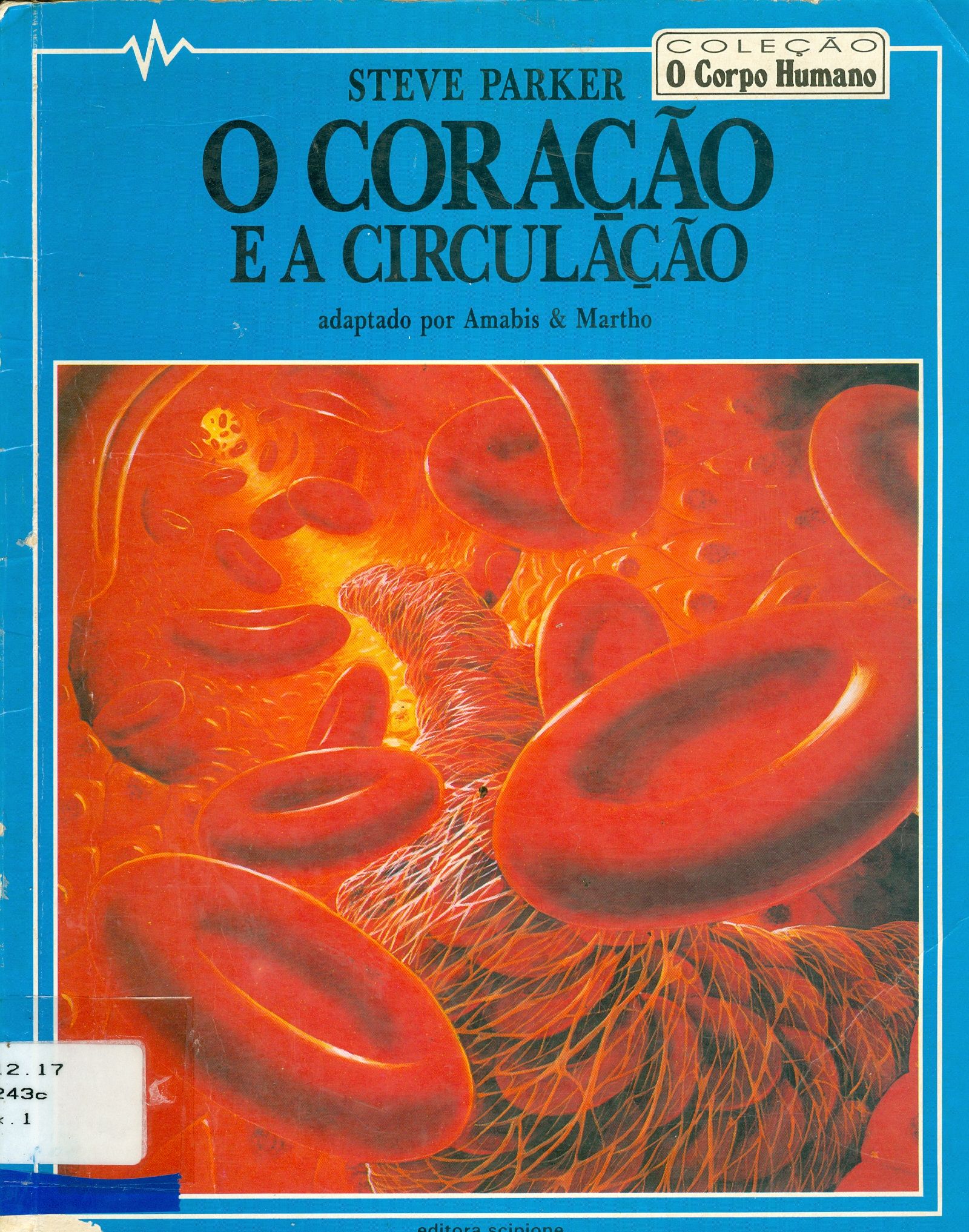 O CORAÇÃO E A CIRCULAÇÃO