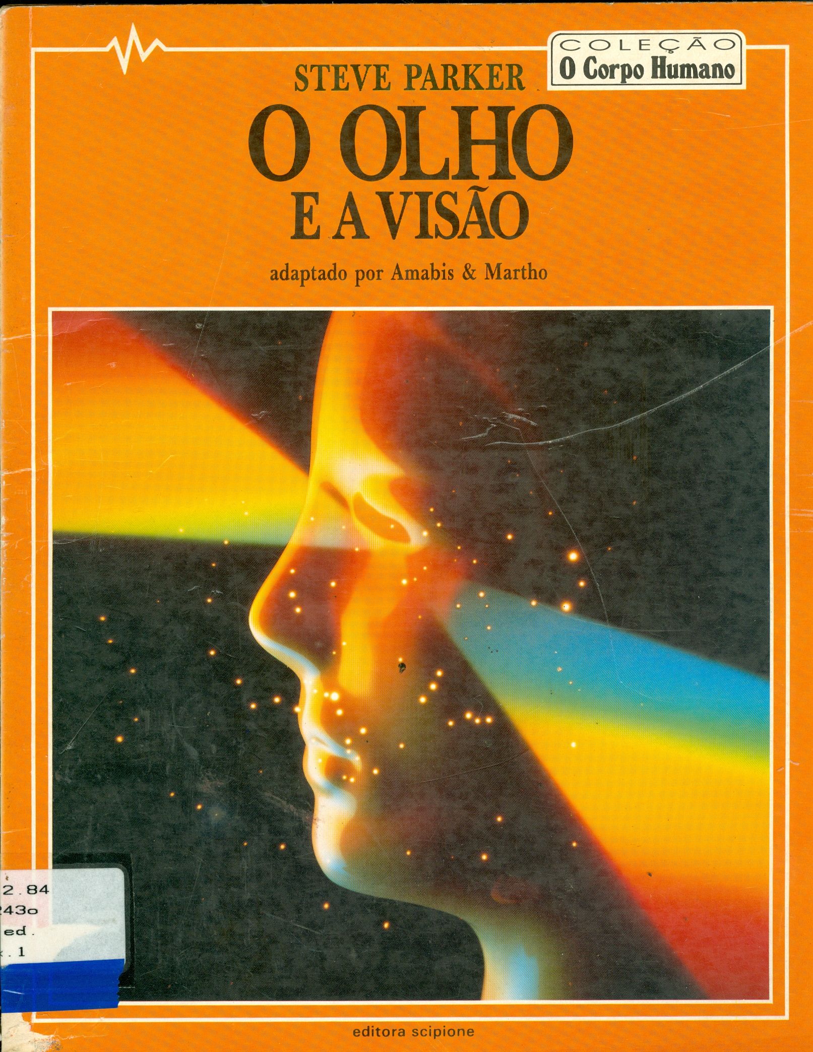 O OLHO E A VISÃO 