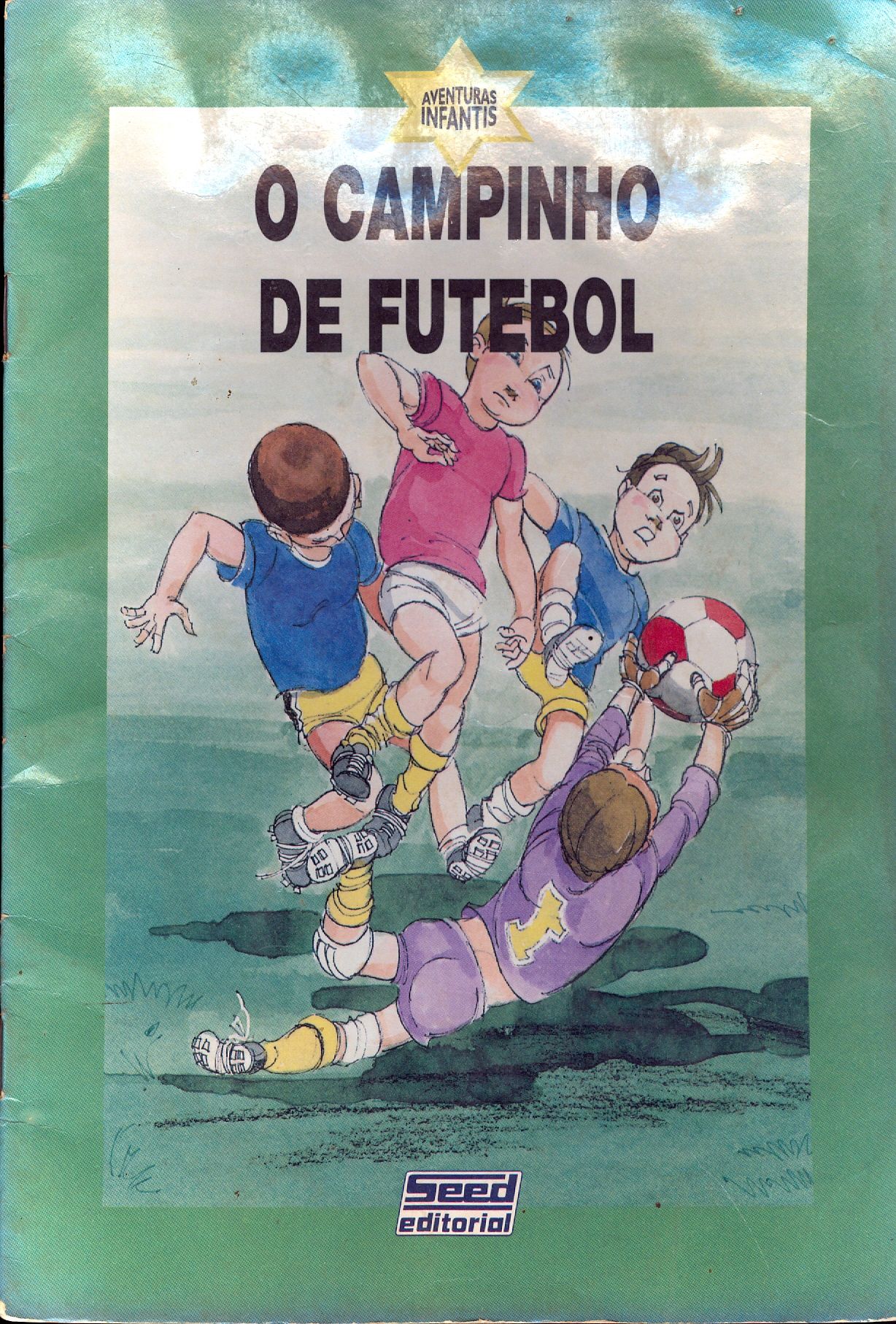 O CAMPINHO DE FUTEBOL - COLEÇÃO