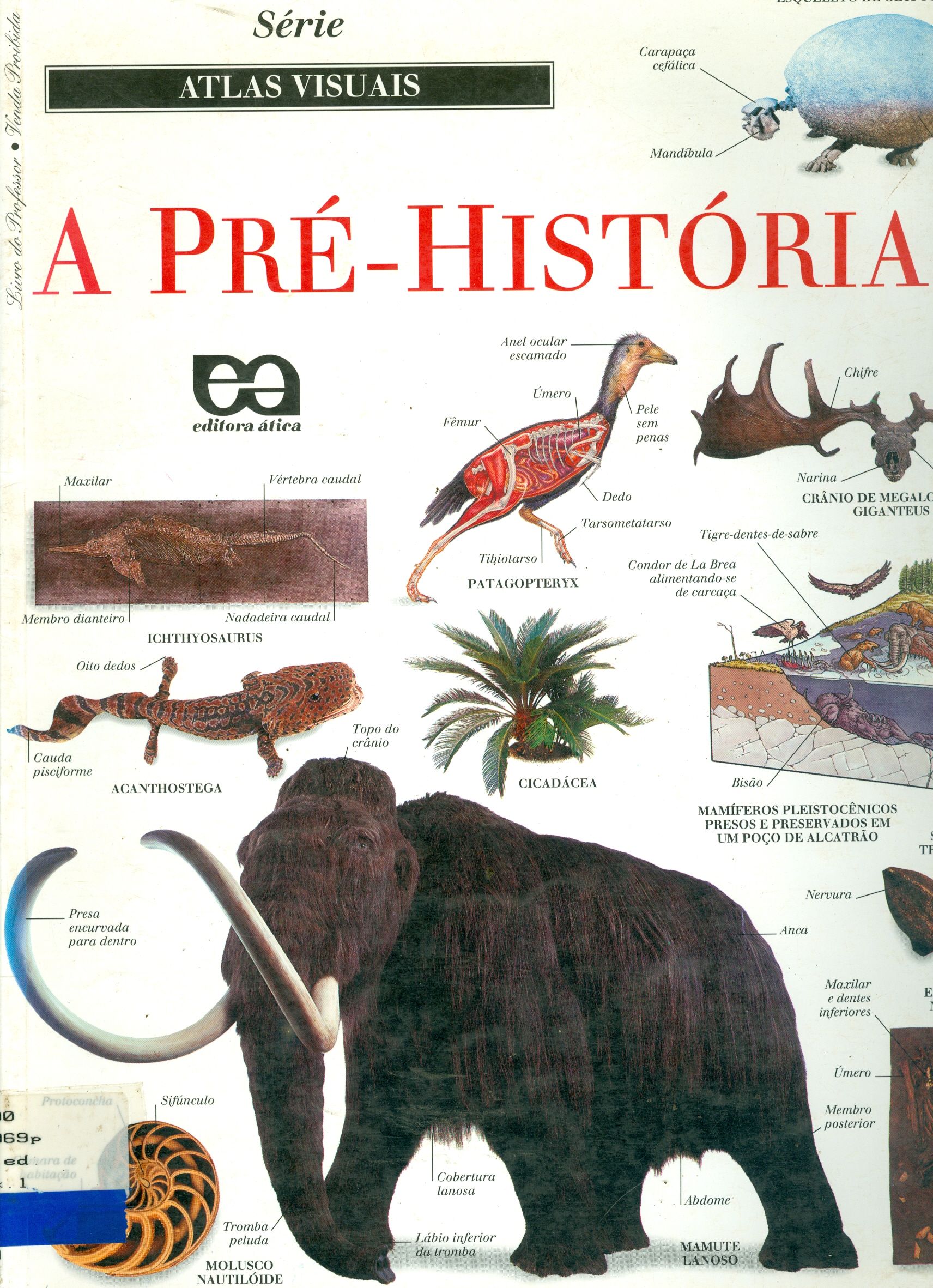 A PRÉ-HISTÓRIA 