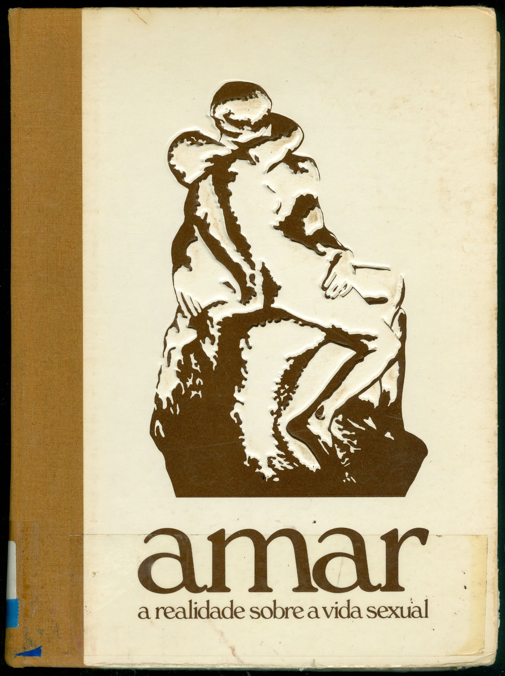 AMAR: A REALIDADE SOBRE A VIDA SEXUAL - V. 1