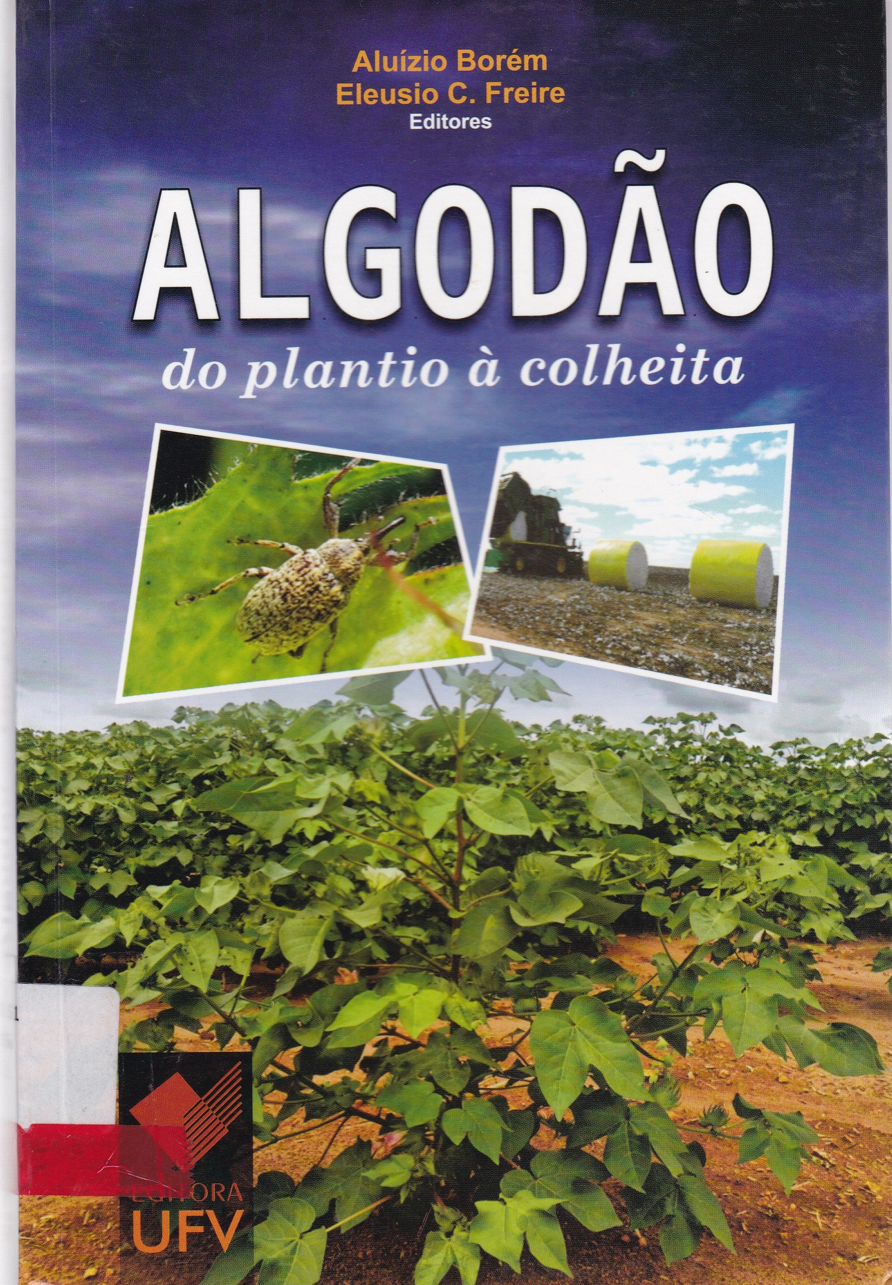 ALGODÃO: DO PLANTIO À COLHEITA