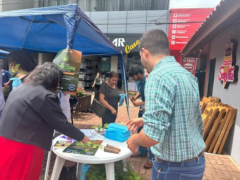 Ação no Dia Mundial do Rim alerta para casos de doença renal no Brasil Ação no Dia Mundial do Rim alerta para casos de doença renal no Brasil
