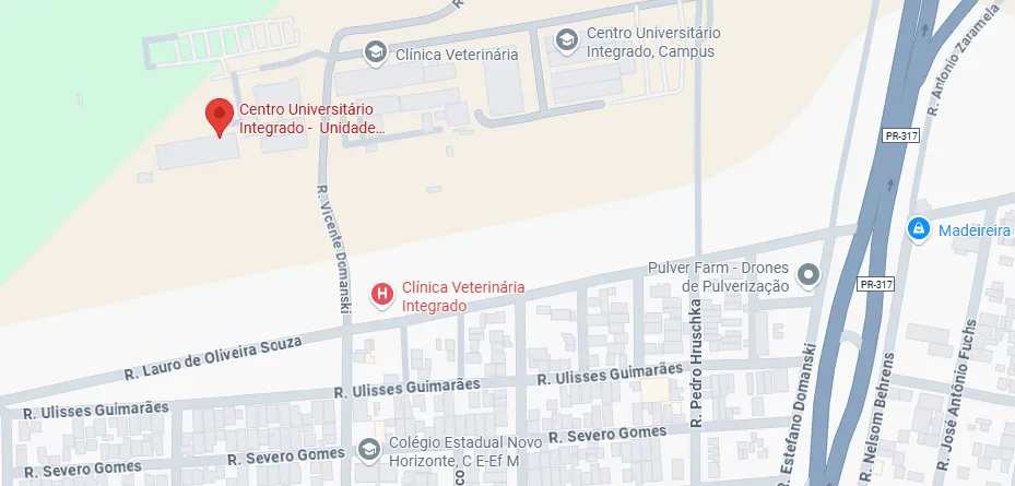 imagem estatica de mapa