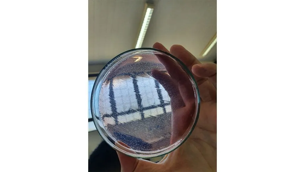 Acadêmicos de Agronomia apresentam projetos de inovação para o setor do Agronegócio